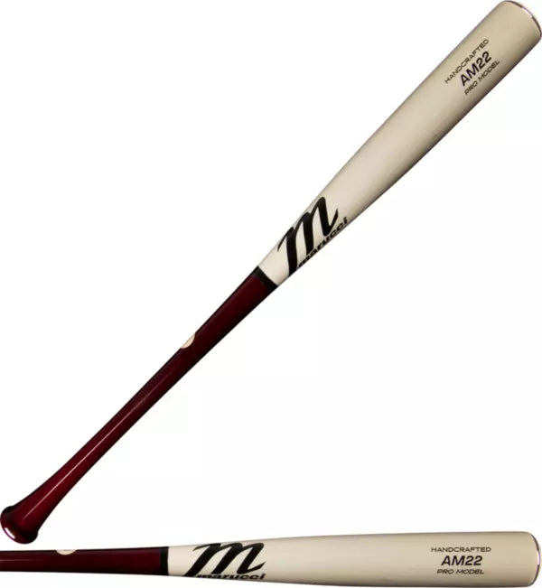AM22 PRO MODEL